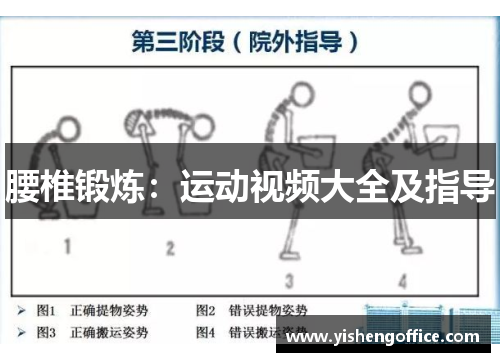 腰椎锻炼：运动视频大全及指导